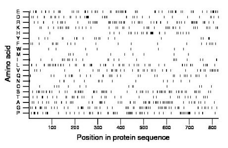 amino acid map