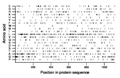 amino acid map