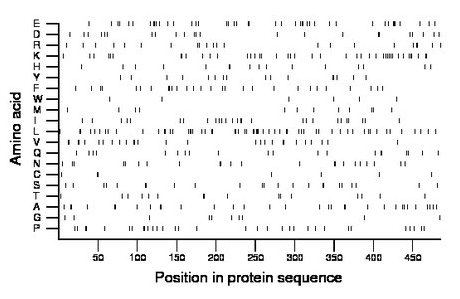 amino acid map