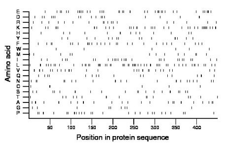 amino acid map