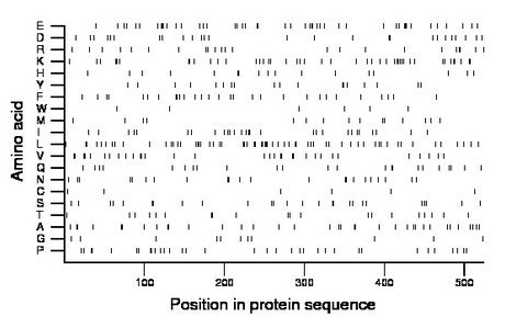 amino acid map