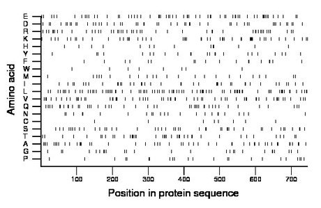 amino acid map