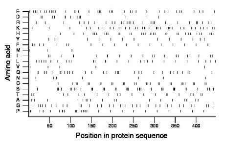 amino acid map