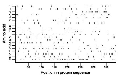 amino acid map