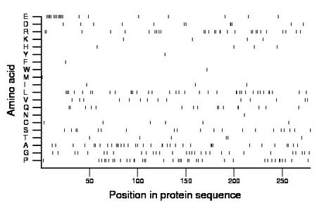 amino acid map