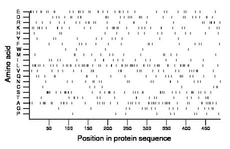 amino acid map