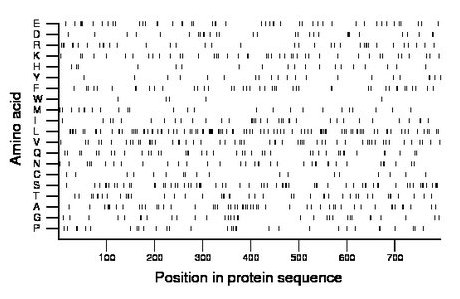 amino acid map