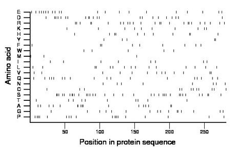 amino acid map