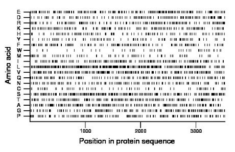 amino acid map