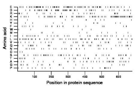 amino acid map