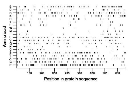 amino acid map