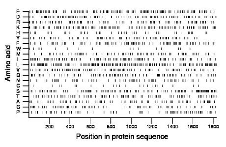 amino acid map