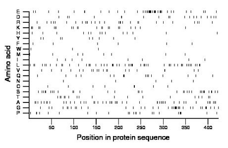 amino acid map