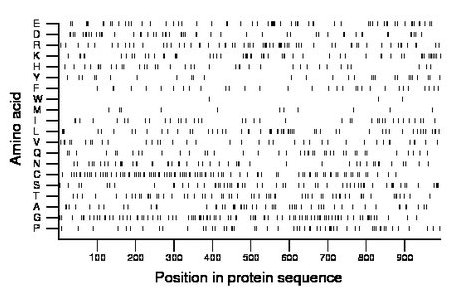 amino acid map