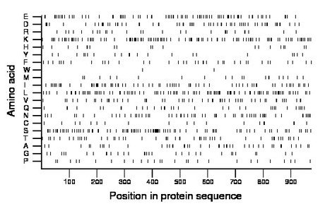 amino acid map