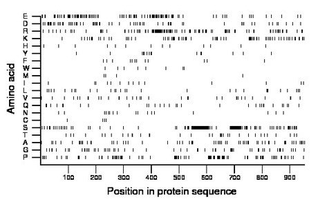 amino acid map