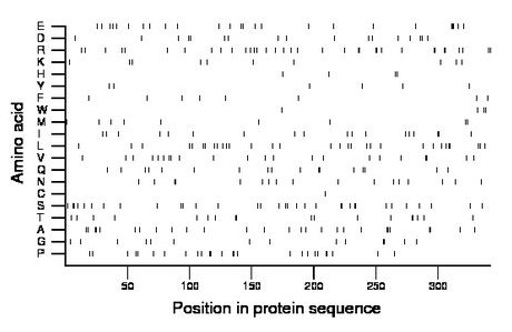 amino acid map