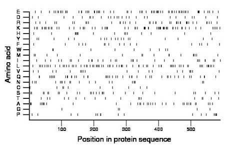 amino acid map