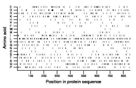 amino acid map