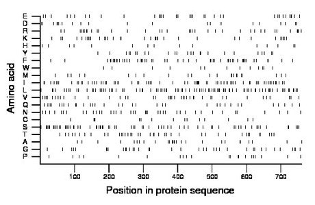 amino acid map