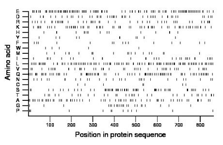 amino acid map