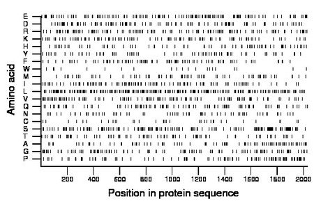 amino acid map