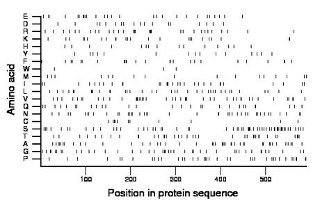 amino acid map