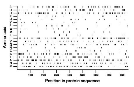 amino acid map