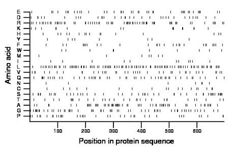 amino acid map