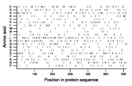 amino acid map