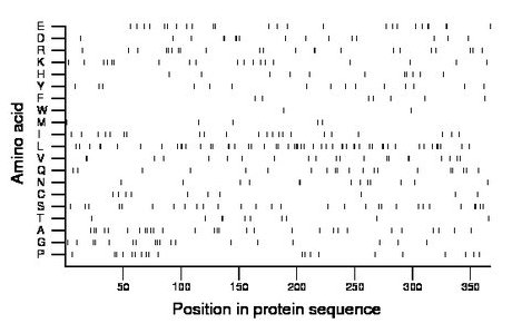 amino acid map