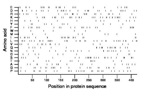 amino acid map