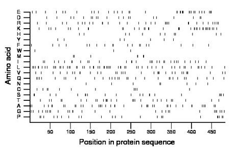 amino acid map