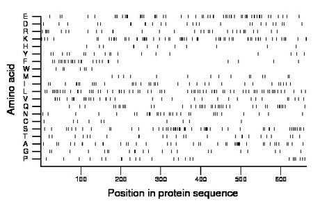 amino acid map