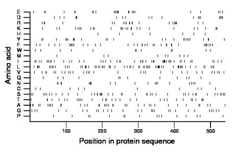 amino acid map