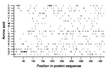 amino acid map