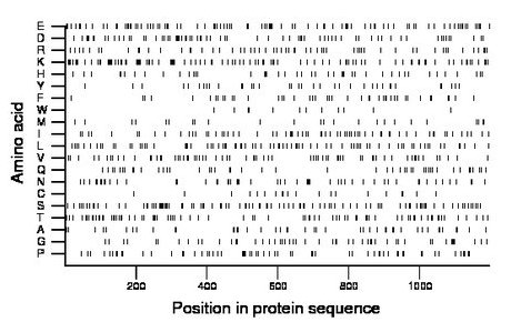 amino acid map