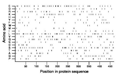 amino acid map