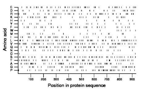 amino acid map