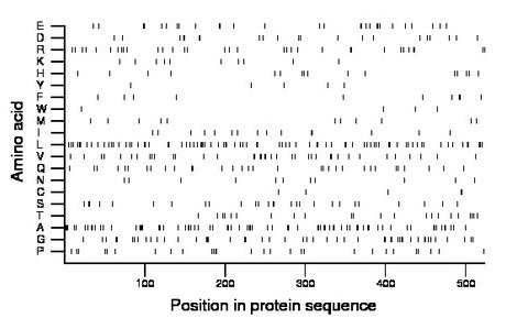 amino acid map