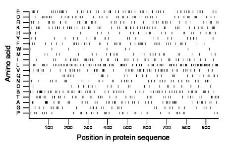 amino acid map