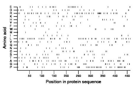 amino acid map