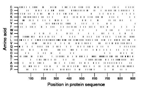 amino acid map