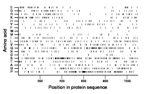 amino acid map