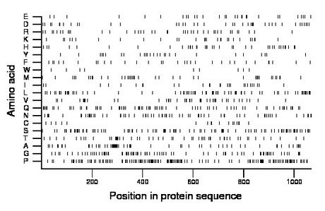 amino acid map