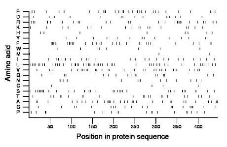 amino acid map