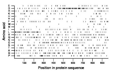 amino acid map