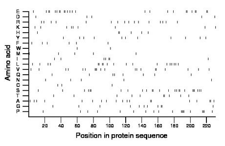 amino acid map