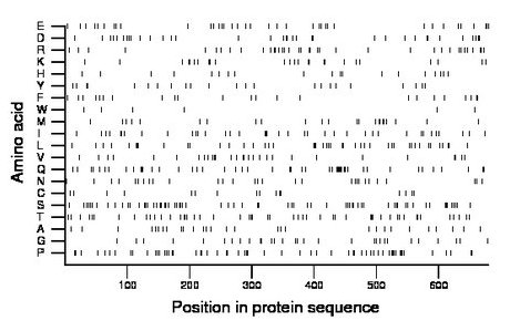 amino acid map