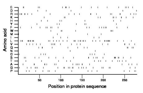 amino acid map